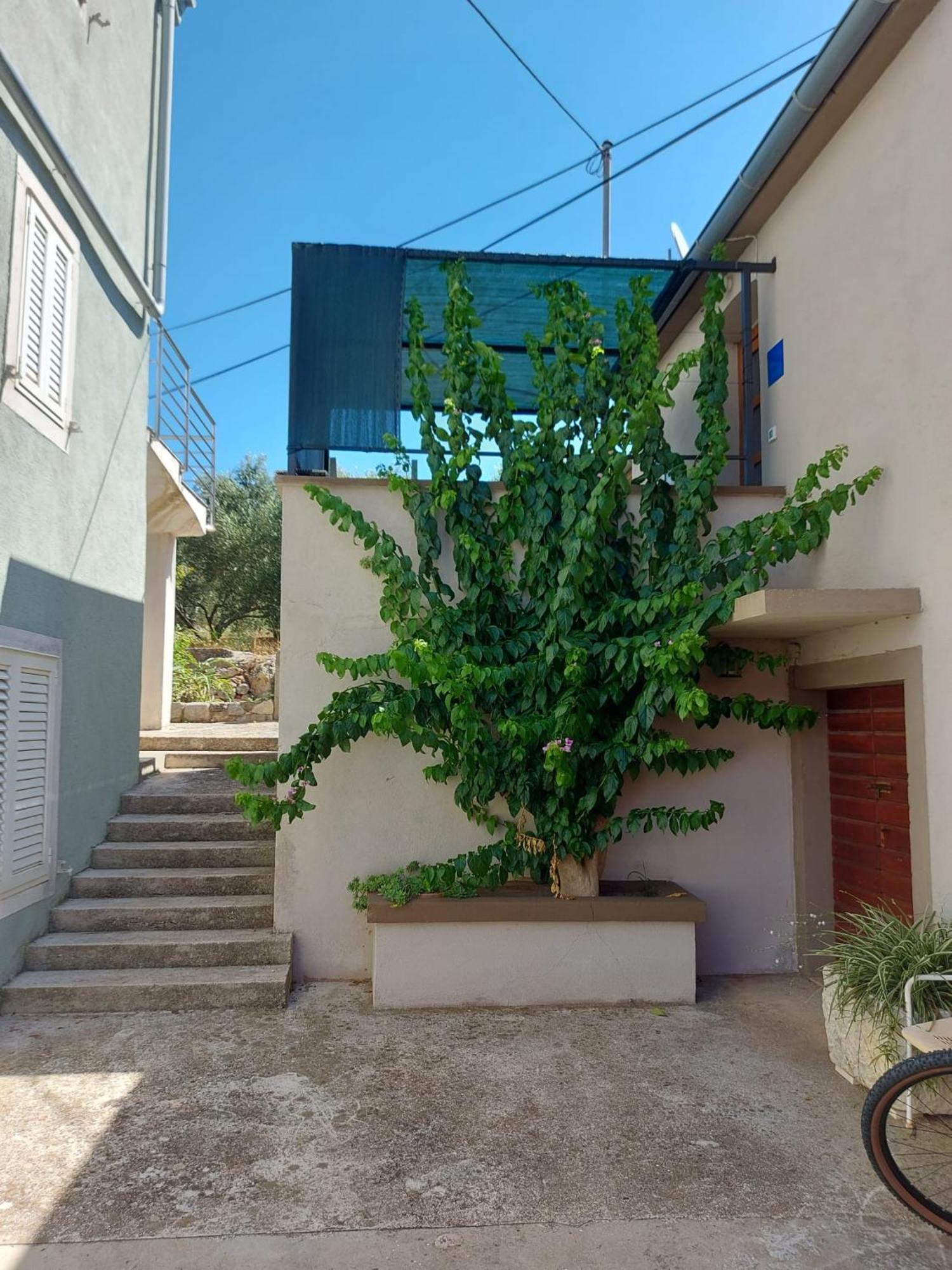 Brbinj Apartmani Bugenvilija מראה חיצוני תמונה